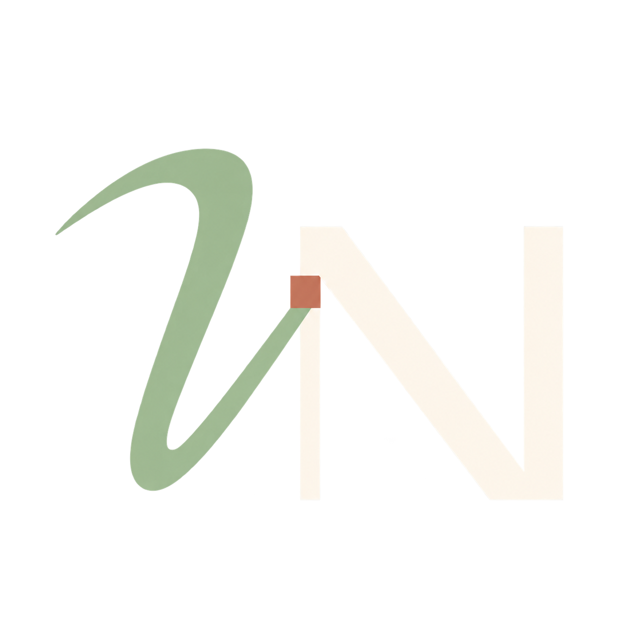 VN